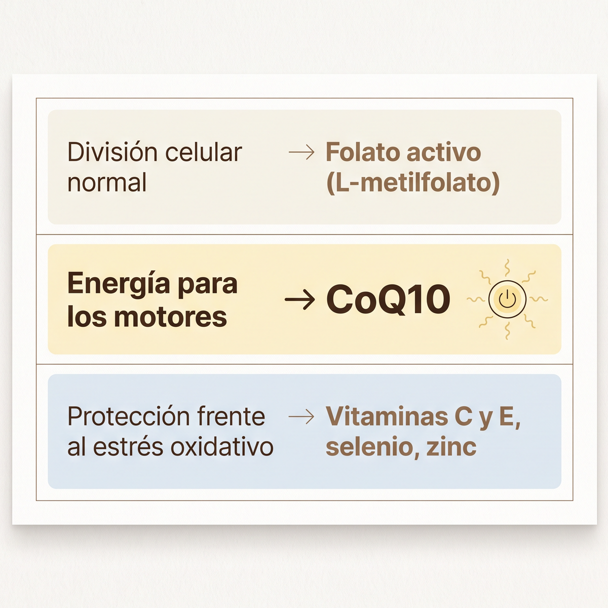 Visual sobre CoQ10 y nutrición preconcepcional